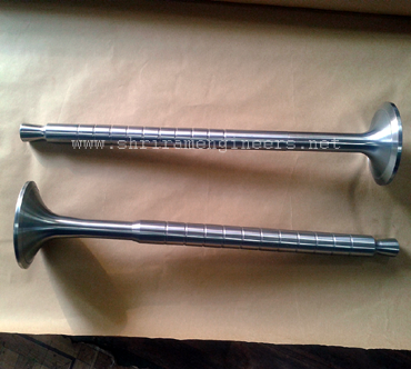 Exhaust Valve Exhaust Valve